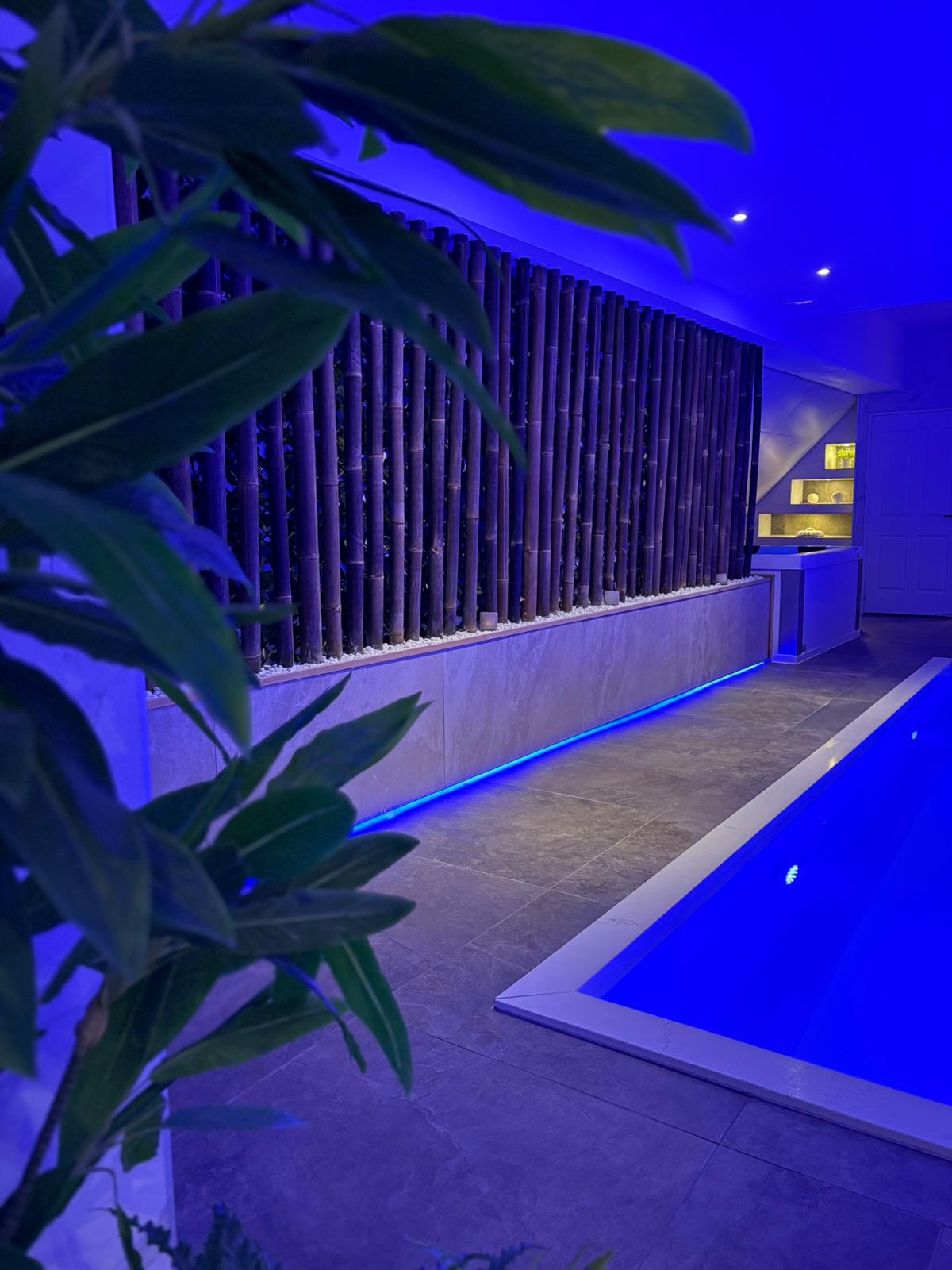 Bali, unit 1 in Spa Nova Hoofddorp, foto 3